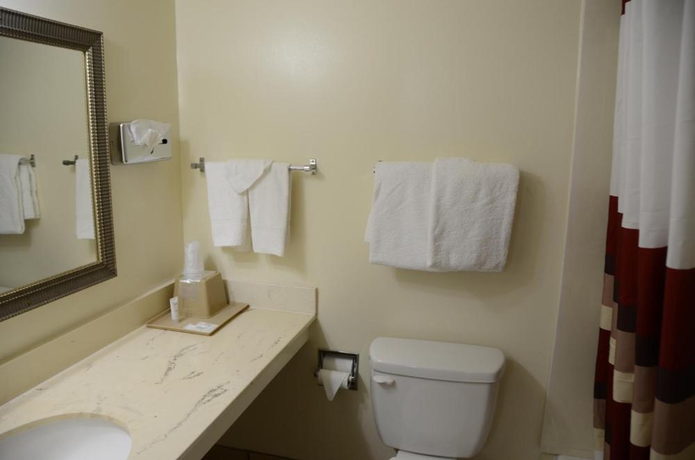Hotel image 8